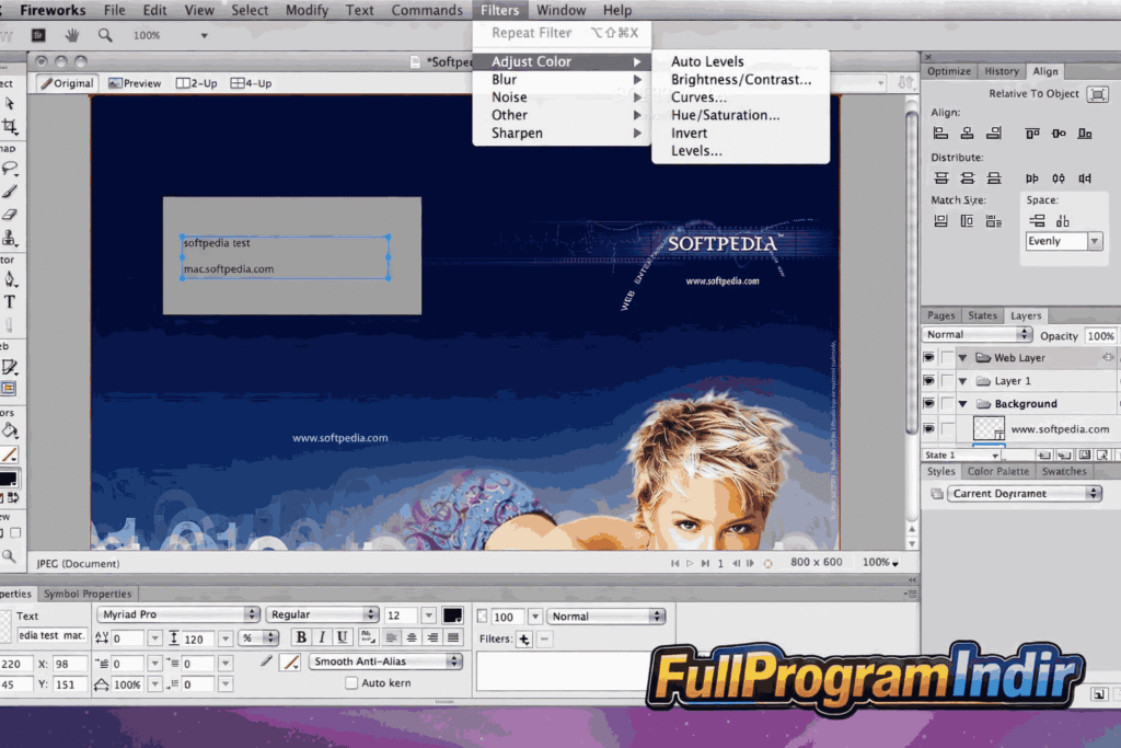 Adobe Fireworks CS6
