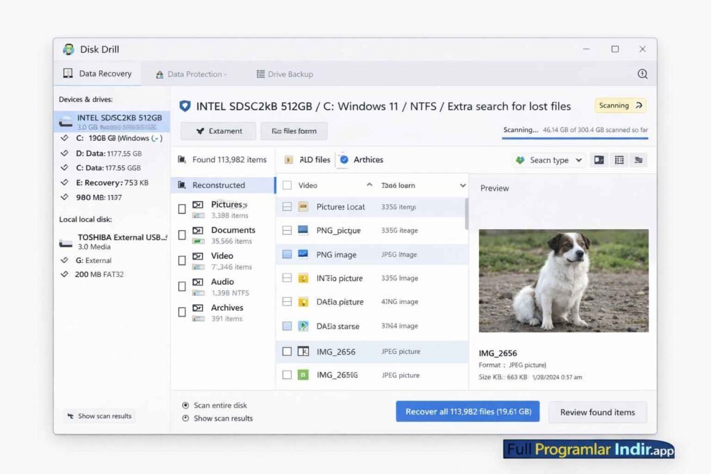 Disk Drill Enterprise