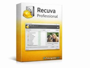Recuva – Professional