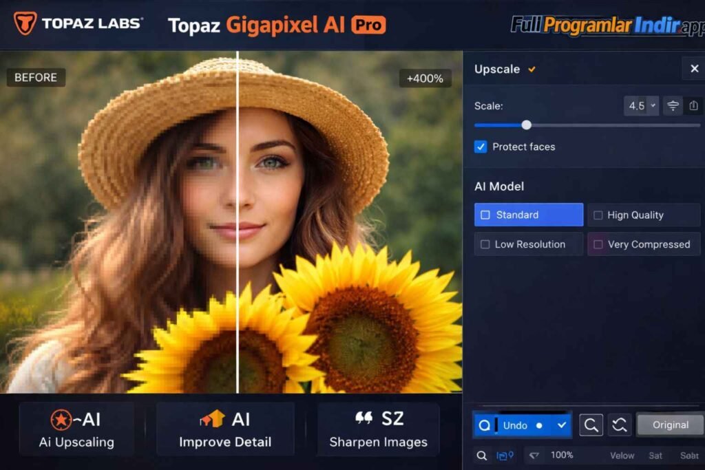 Topaz Gigapixel AI Pro