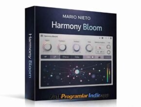 Mario Nieto Harmony Bloom