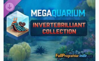 Megaquarium: Invertebrilliant Collection