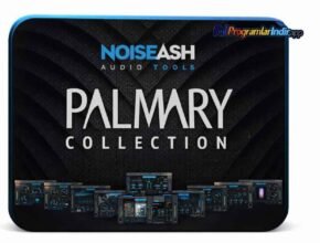 NoiseAsh Palmary Collection