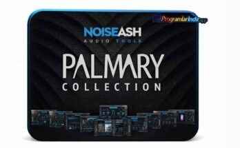NoiseAsh Palmary Collection
