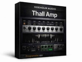Odeholm Audio Thall Amp